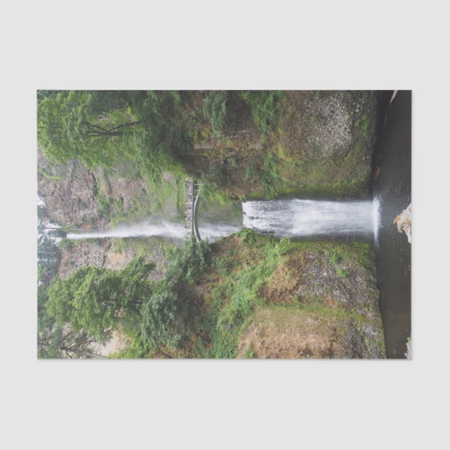 Oregon Multnomah Falls Photo Tissue Paper (Front)
