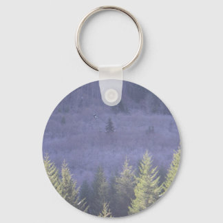 Oregon Senic Highway Key Ring