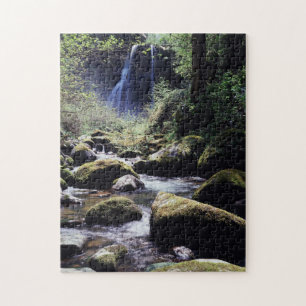 Oregon, Siskiyou National Forest, Elk Creek Jigsaw Puzzle