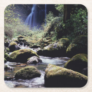 Oregon, Siskiyou National Forest, Elk Creek Square Paper Coaster
