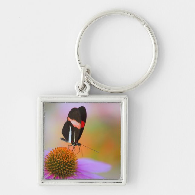 oregon, usa 2 key ring (Front)