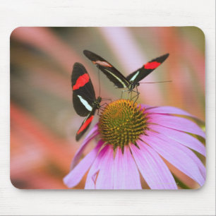 oregon, usa 3 mouse mat