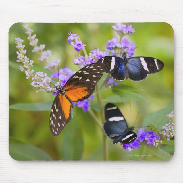 oregon, usa mouse mat (Front)