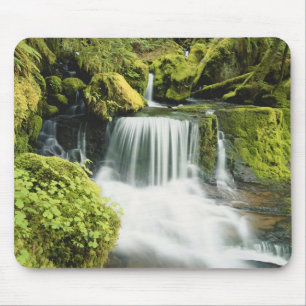 Oregon, Waterfall in Willamette national Mouse Mat