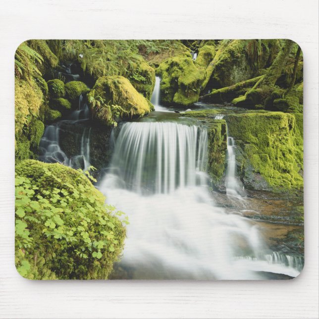 Oregon, Waterfall in Willamette national Mouse Mat (Front)