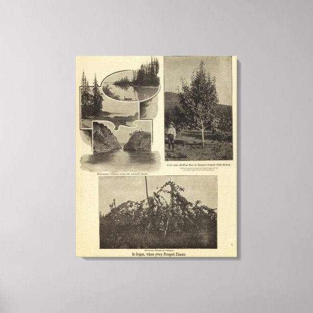 Oregon, where every prospect pleases canvas print (Front)