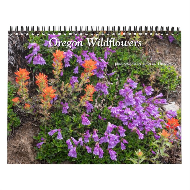 Oregon Wildflowers Calendar (Cover)
