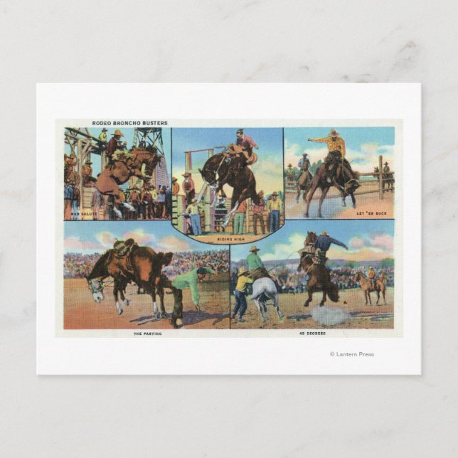 OregonScenic Views of Rodeo Bronco Busters Postcard (Front)