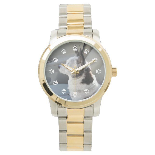 Oreo Coloured Chihuahua Watch (Front)