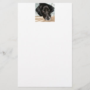 Oreo the English Springer Spaniel Dog Stationery