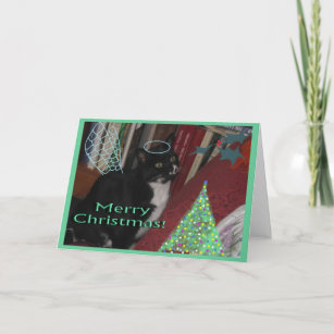 Oreo the Sweet Wonder Cat Holiday Card
