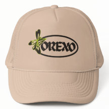  OREXO // "Buzz & Bold" 