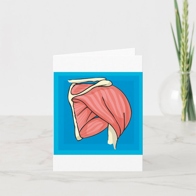 Organ Illustration Card (Creator Uploaded)