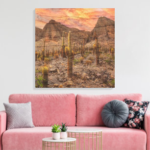 Organ Pipe Cactus On Wood Grain Sunset Photo Canvas Print
