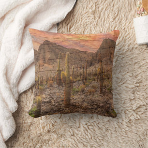 Organ Pipe Cactus On Wood Grain Sunset Photo Cushion