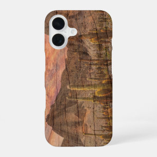 Organ Pipe Cactus On Wood Grain Sunset Photo iPhone 16 Case