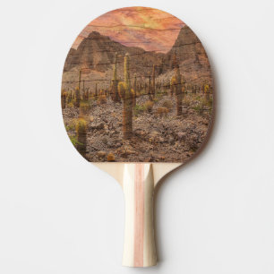 Organ Pipe Cactus On Wood Grain Sunset Photo Ping Pong Paddle