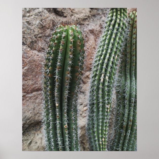 Organ Pipe Cactus Southwest Cacti Wall Decor (Front)