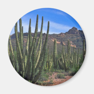 Organ Pipes In Desert Magnet