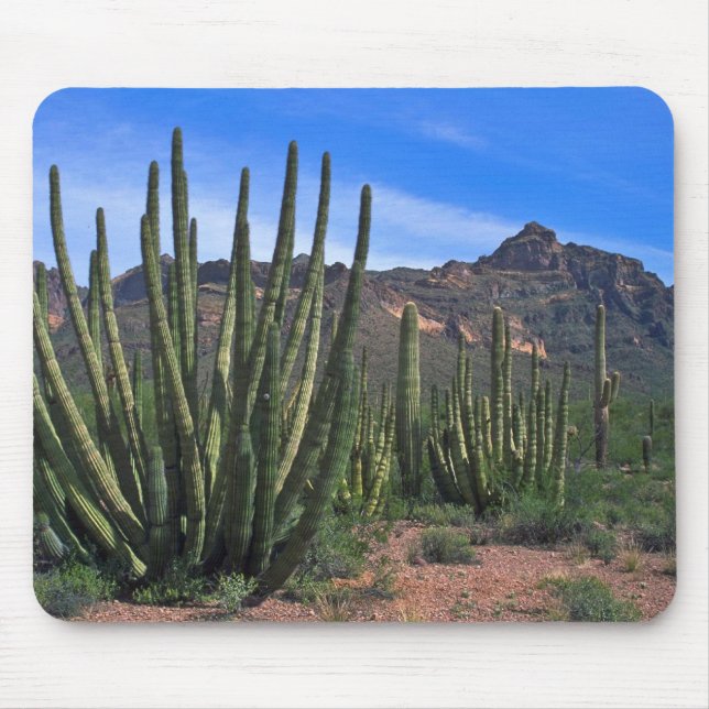 Organ Pipes In Desert Mouse Mat (Front)