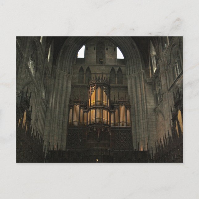 Organ Pipes in Ripon Cathedral England Post Card (Front)