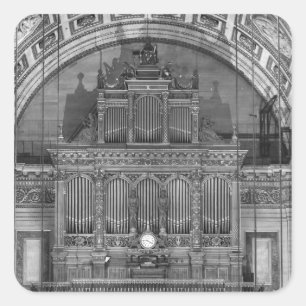 Organ Square Sticker