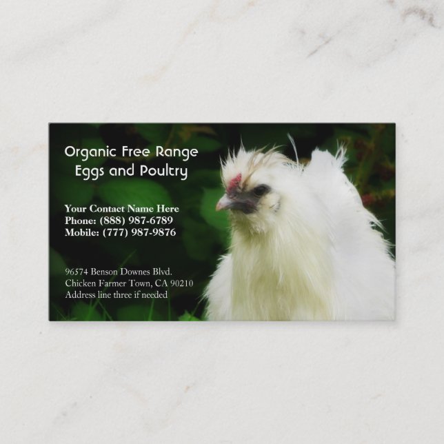 Organic Chickens and Eggs  Business Cards (Front)