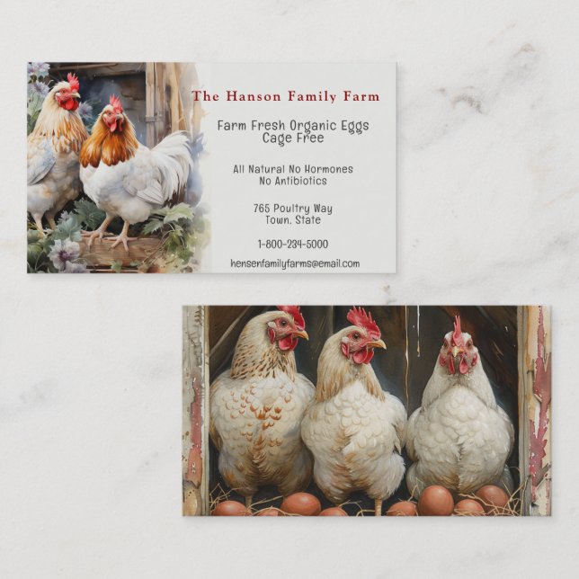 Organic Eggs Farm Chickens    Business Card (Front/Back)