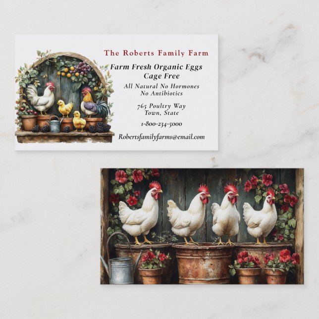 Organic Eggs Farm Chickens    Business Card (Front/Back)