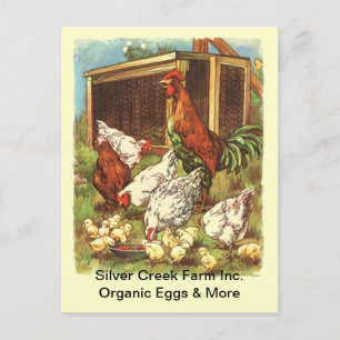 Organic Free Range Eggs Chickens Market POSTCARD
