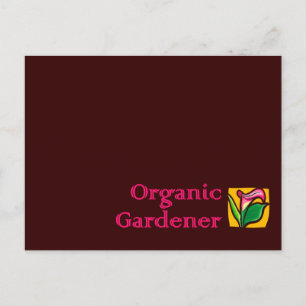 Organic Gardener - Calla Lilies Postcard