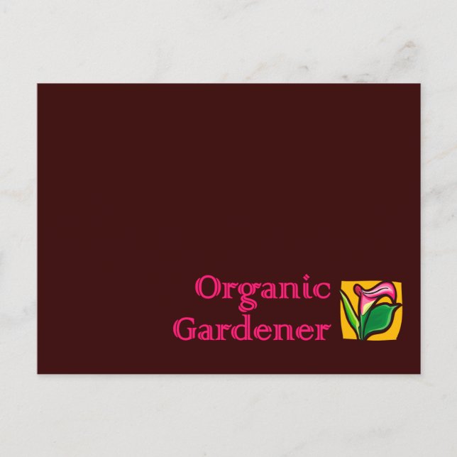 Organic Gardener - Calla Lilies Postcard (Front)