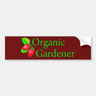 Organic Gardener - Strawberries Bumper Sticker