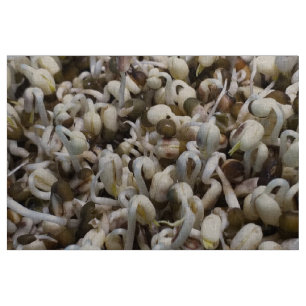 Organic Mung Sprouts – A Nutrient-Packed Superfood Fabric