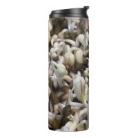Organic Mung Sprouts – A Nutrient-Packed Superfood