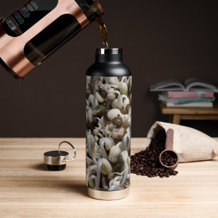 Organic Mung Sprouts – A Nutrient-Packed Superfood Water Bottle
