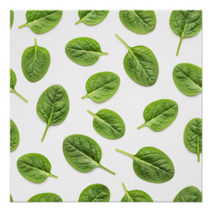 Organic Spinach Leaf Seamless Pattern Poster