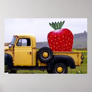 Organic Strawberry Poster