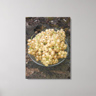 Organic White Currants From The Garden Canvas Print
