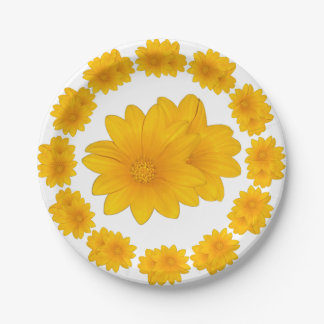Organic Yellow, Paper Plate