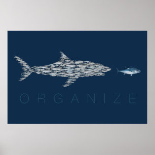 Organise Fish Poster