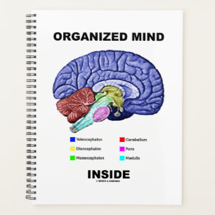 Organised Mind Inside Anatomical Brain Humour Planner