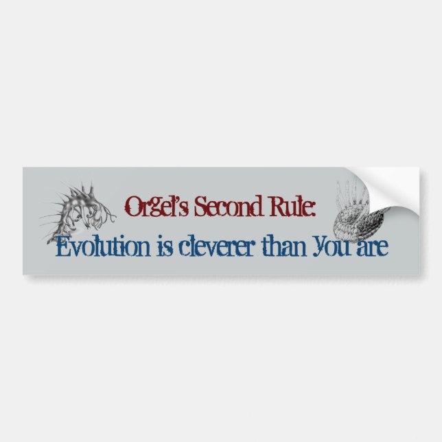 Orgel's Second Rule Bumper Sticker (Front)
