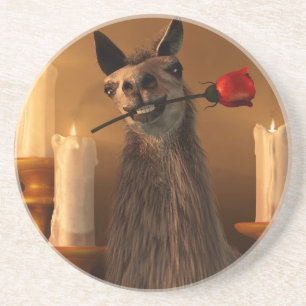 Orgle Coaster