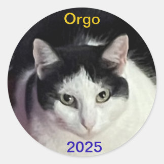 ORGO cat Classic Round Sticker