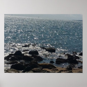 orient state park beach poster