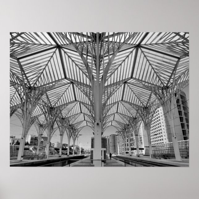 Orient Train Station Poster (Front)