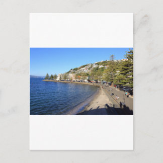 Oriental Bay Wellington Harbour Postcard