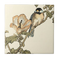 Oriental Bird Perched on Branch