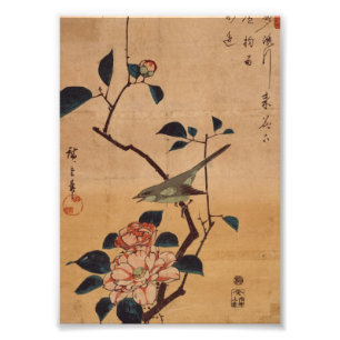 Oriental Camellia and Warbler Photo Print